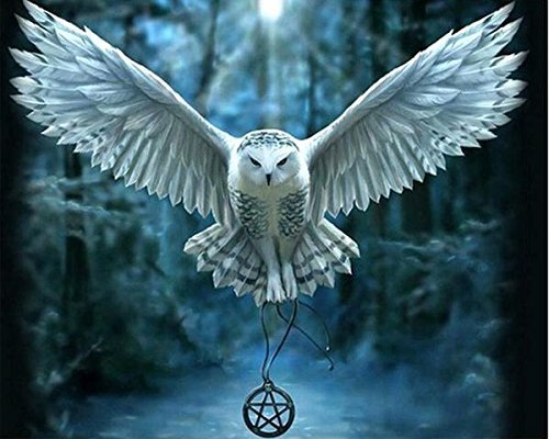 Magic owl potter diamond - potter, 5d