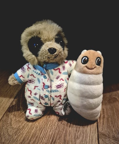 Compare the meerkat - meerkat, oleg