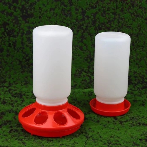 1kg chicken feeder 1 - chicken, &