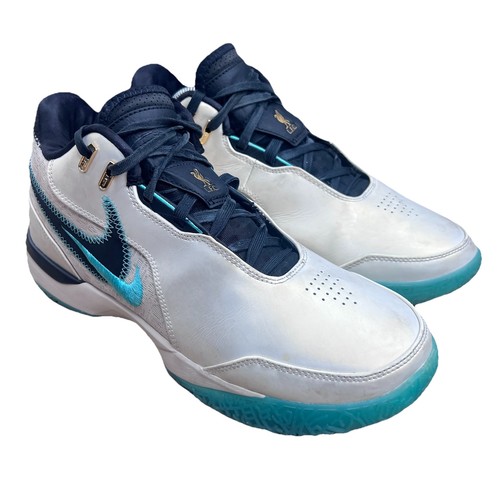 Nike zoom lebron nxxt gen - lebron, ampd