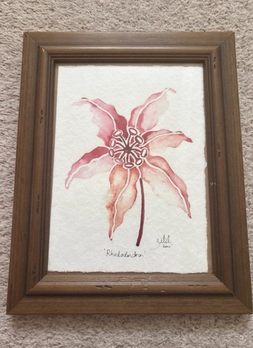 Gorgeous red pink flower - gorgeous,