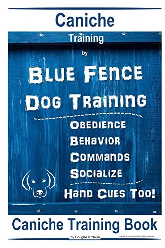 Caniche training by - by, blue