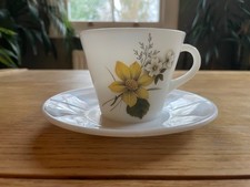 Vintage Pyrex Autumn Glory