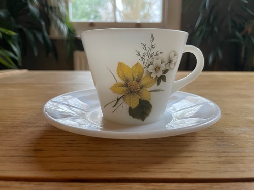 Vintage pyrex autumn glory - autumn,