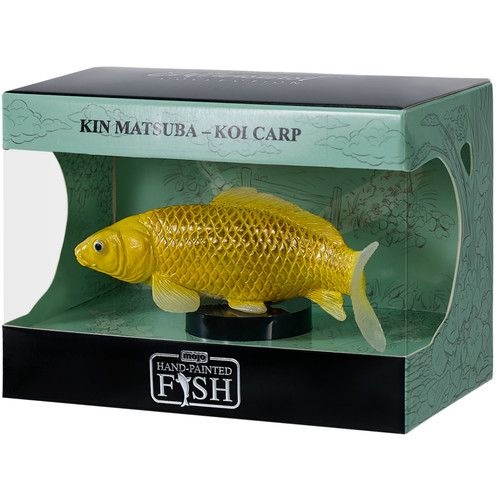 Kin matsuba koi carp fish - matsuba,