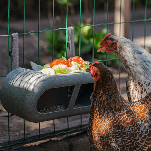 Beeztees chicken feeder - beeztees,