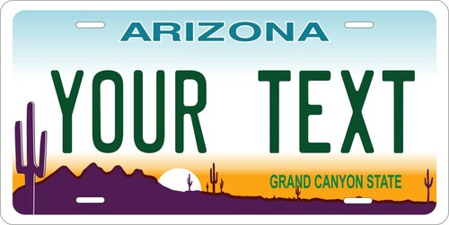 Arizona 2008 license plate - license,