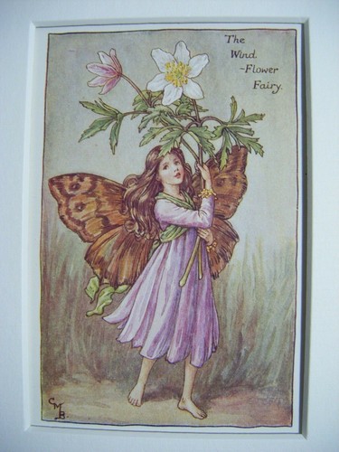 Vintage flower fairies print - flower,
