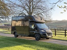 Horsebox new conversion - horsebox, 3.5t