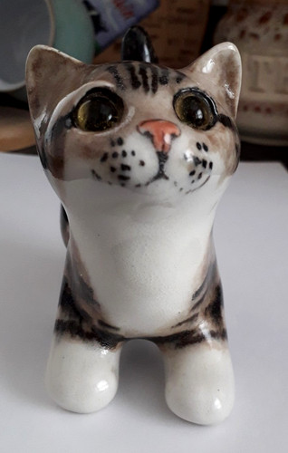 Winstanley tabby kitten cat - kitten,