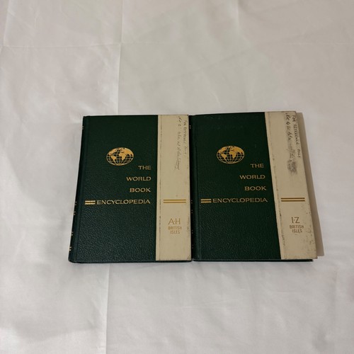 1966 the world - 1966, book