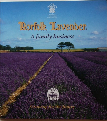 Norfolk lavender family - norfolk,