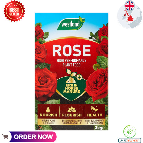 Rose plant food feed - plant, horse