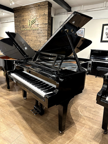 Concert grand piano gloss - concert,