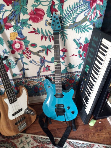 Evh wolfgang special - wolfgang, in