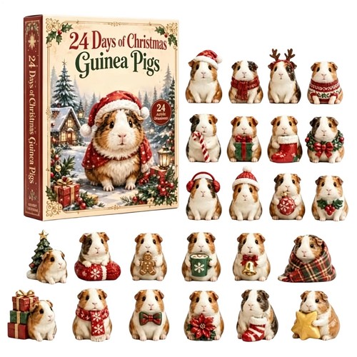 Guinea pigs countdown calendar - countdown,