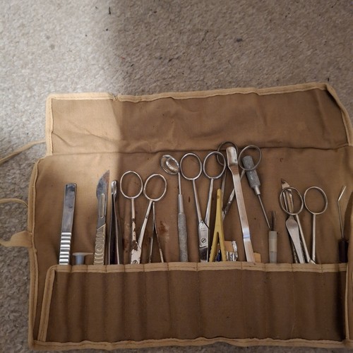 Vintage 1960s school biology - 1960s,
