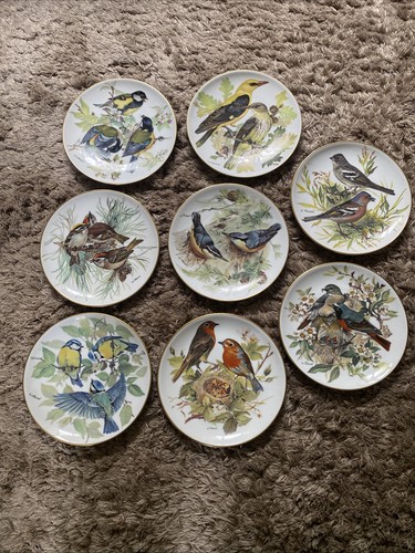 Decorative plate birds - , wwf