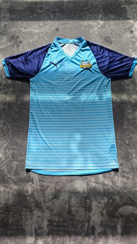 Puma yorkshire vikings - puma, cricket