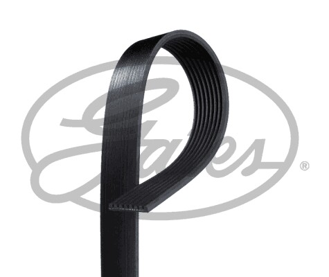 New ribbed belt for mazda - v-ribbed, mazda:3