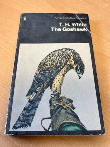The goshawk white - goshawk,