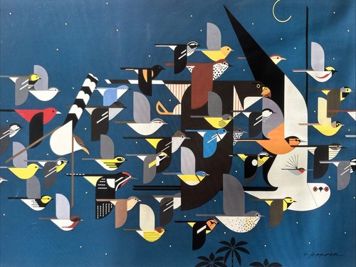 International migratory bird - international,