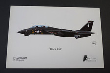 Aviation art 14a tomcat - -,