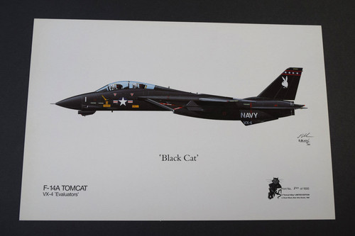 Aviation art 14a - , tomcat