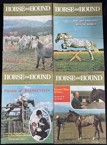 Issues horse and hound - horse,