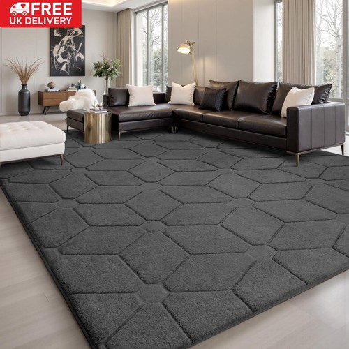 Fluffy rugs large shaggy - rugs, rug