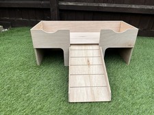 Extra Large Guinea Pig /