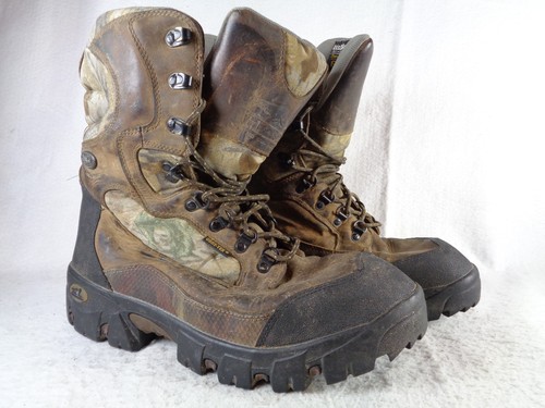 Irish setter red wing 1816 - setter,