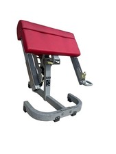 Technogym Preacher Curl /Bicep Curl Bench Commercial Gym Equipment
