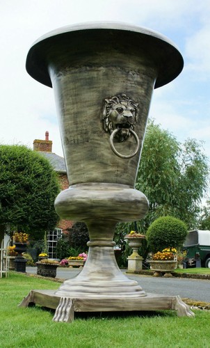 Stunning lion head cream 5m - stunning, 1.5m