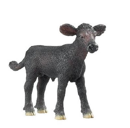 Black angus calf farm - black,
