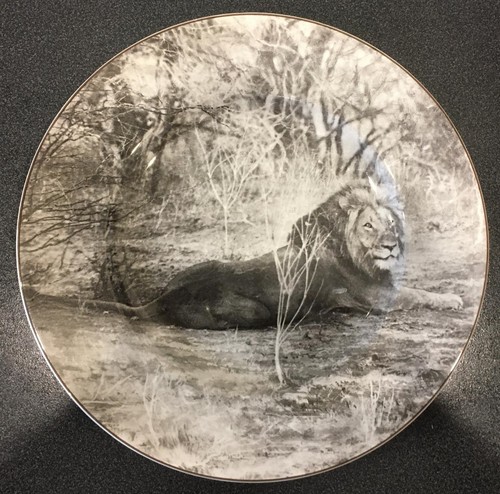 Royal doulton african series - doulton,