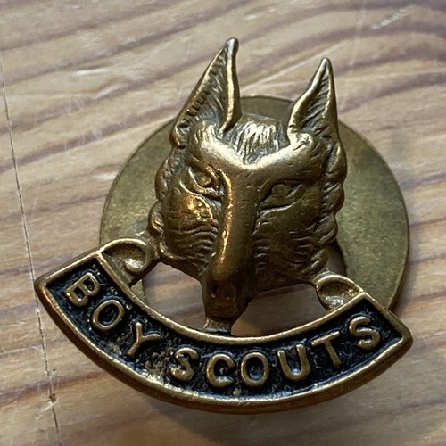 Vintage boy scouts - lapel, badge