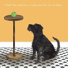 Patterdale Dog Birthday Card