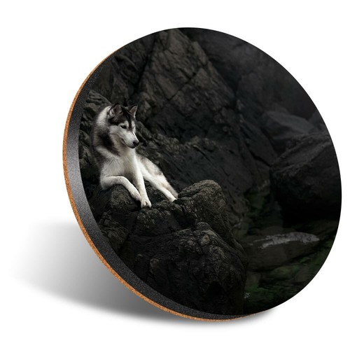 Round 12cm coaster - coaster,
