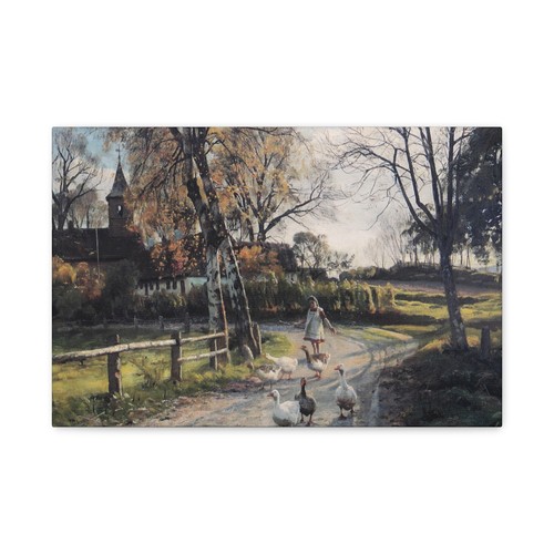 Peder mørk mønsted - mørk,