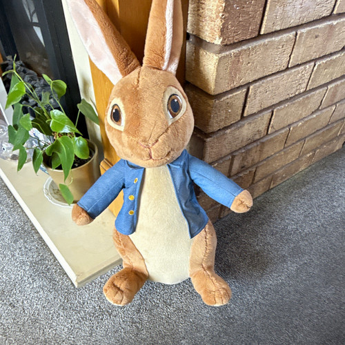 Peter rabbit plush soft toy - soft,