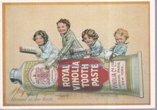 Royal Vinolia Toothpaste