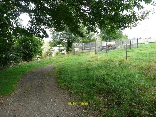 Photo 6x4 bridleway - 6x4, passing