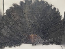 FABULOUS BURLESQUE OSTRICH