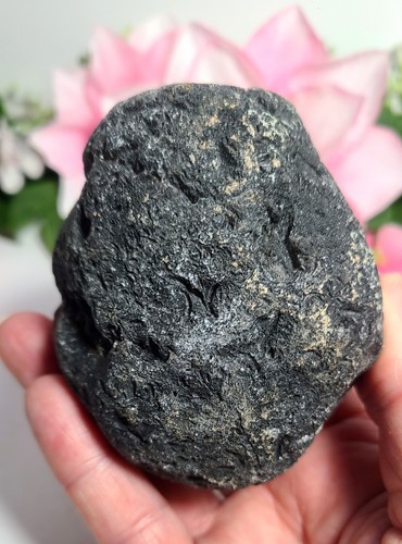Large 378g natural - 3.3",