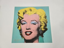 Andy warhol shot - -, sage