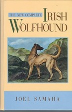 The New Complete Irish