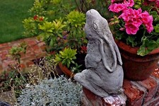 New moon gazing - new~moon,
