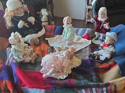 Collector dolls ashton drake - collector,