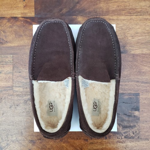 Ugg ascot men brown suede - men’s,